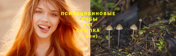 apvp Инта
