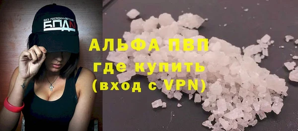 apvp Инта