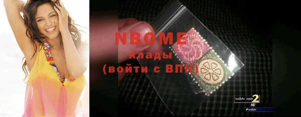 apvp Инта