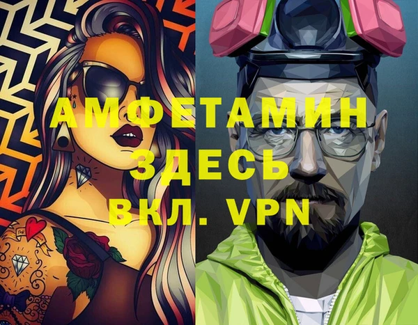 apvp Инта