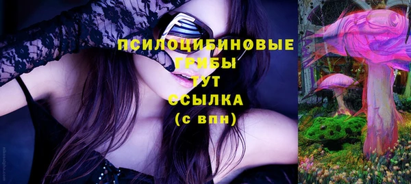 бутират Инсар