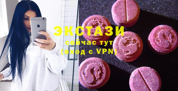 apvp Инта