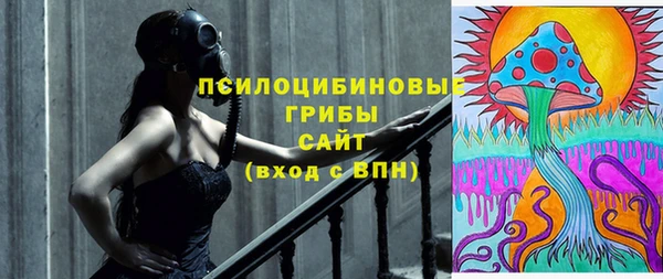 бутират Инсар