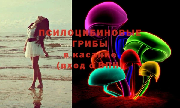 apvp Инта