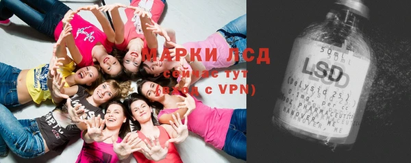 apvp Инта