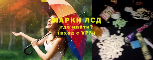 apvp Инта